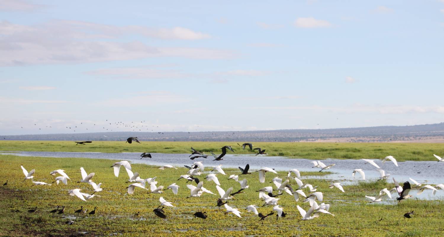 Walking and Canoeing - Safari Arusha National Park - Sed Adventures Tours and Safaris