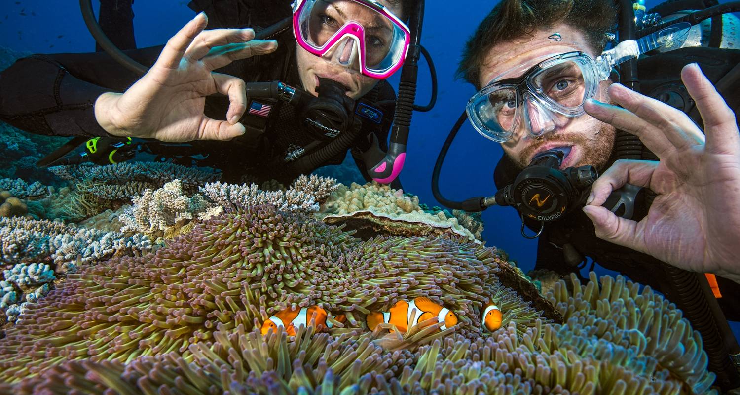 3 Day/2 Night Outer Reef Liveaboard Trip - Pro Dive Cairns