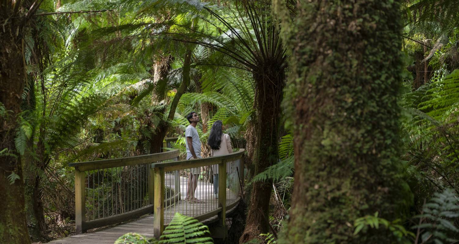 Great Ocean Road and Rainforest Walk 1 DAY by Wildlife Tours Australia