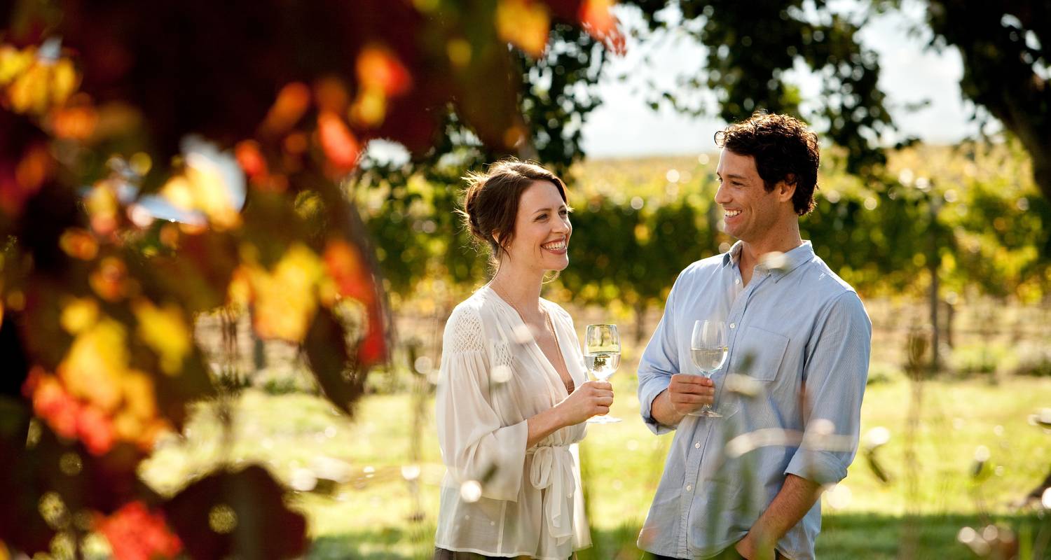 Yarra Valley Winery Tour 1 DAY by Wildlife Tours Australia
