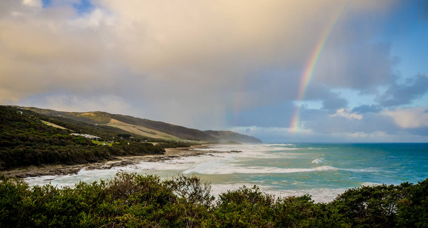 Great Ocean Road and Grampians 3 DAYS by Wildlife Tours Australia