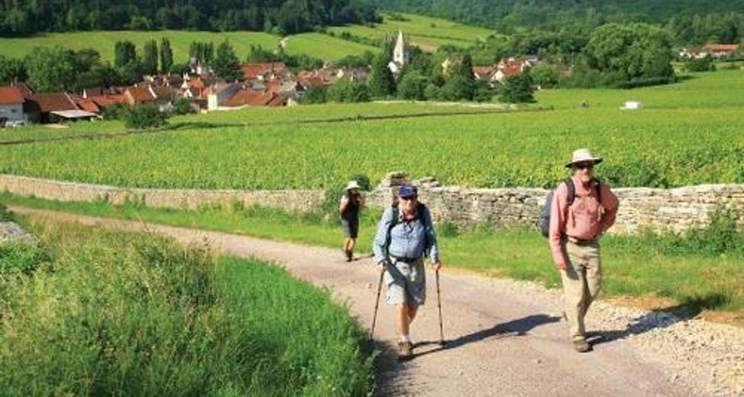 Burgundy Vineyard Trails - UTracks