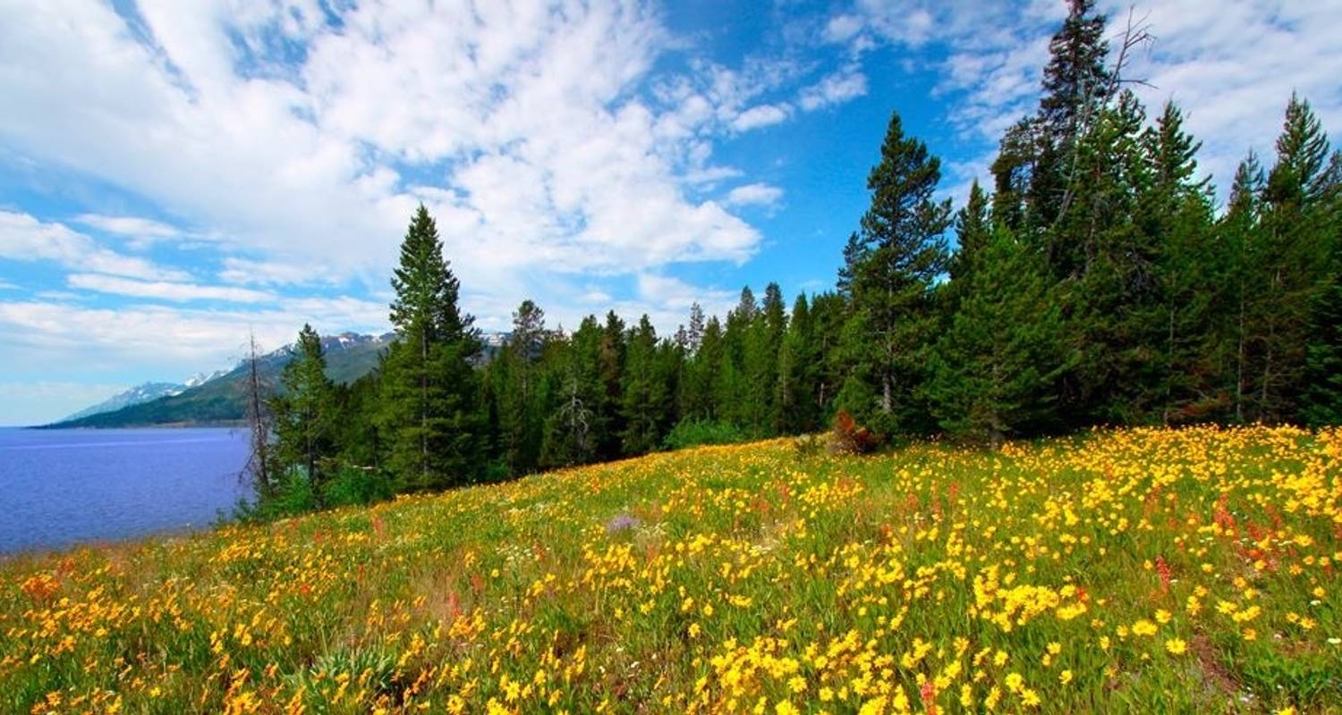 Exploration des grands parcs américains avec un séjour prolongé à Las Vegas - Globus