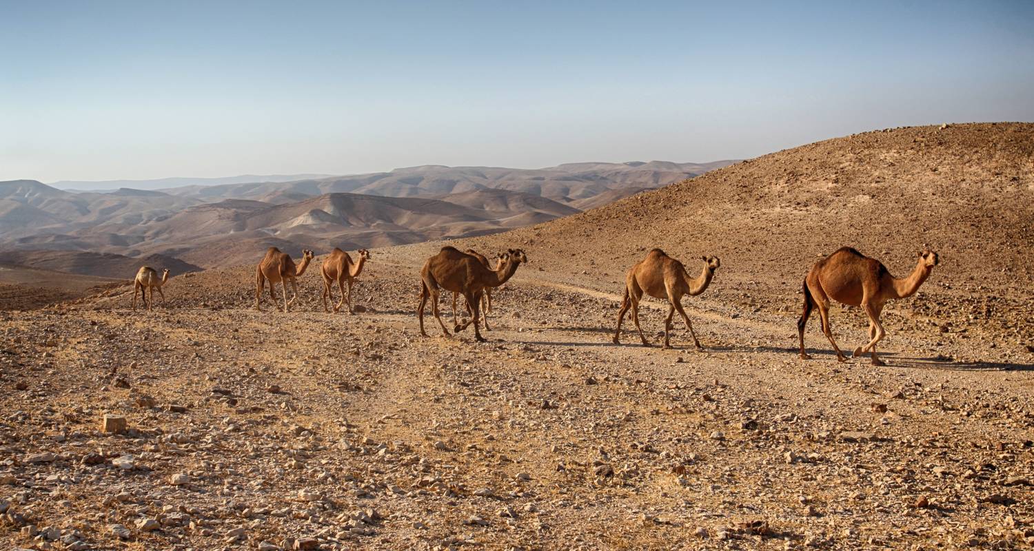 Journey Through the Holy Land with Jordan - Faith-Based Travel