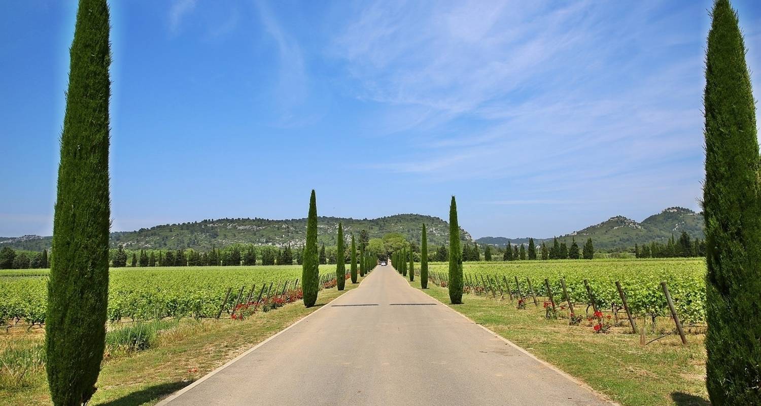 Burgundy : Beaune and Beyond