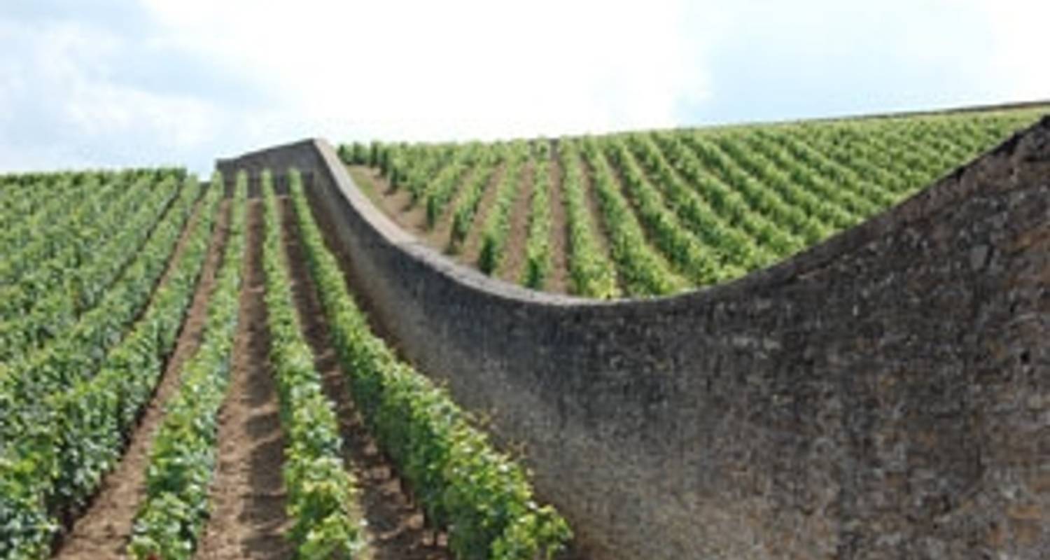 Burgundy : Beaune and Beyond