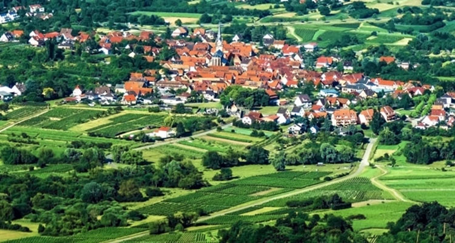 Alsace Hiking Tour