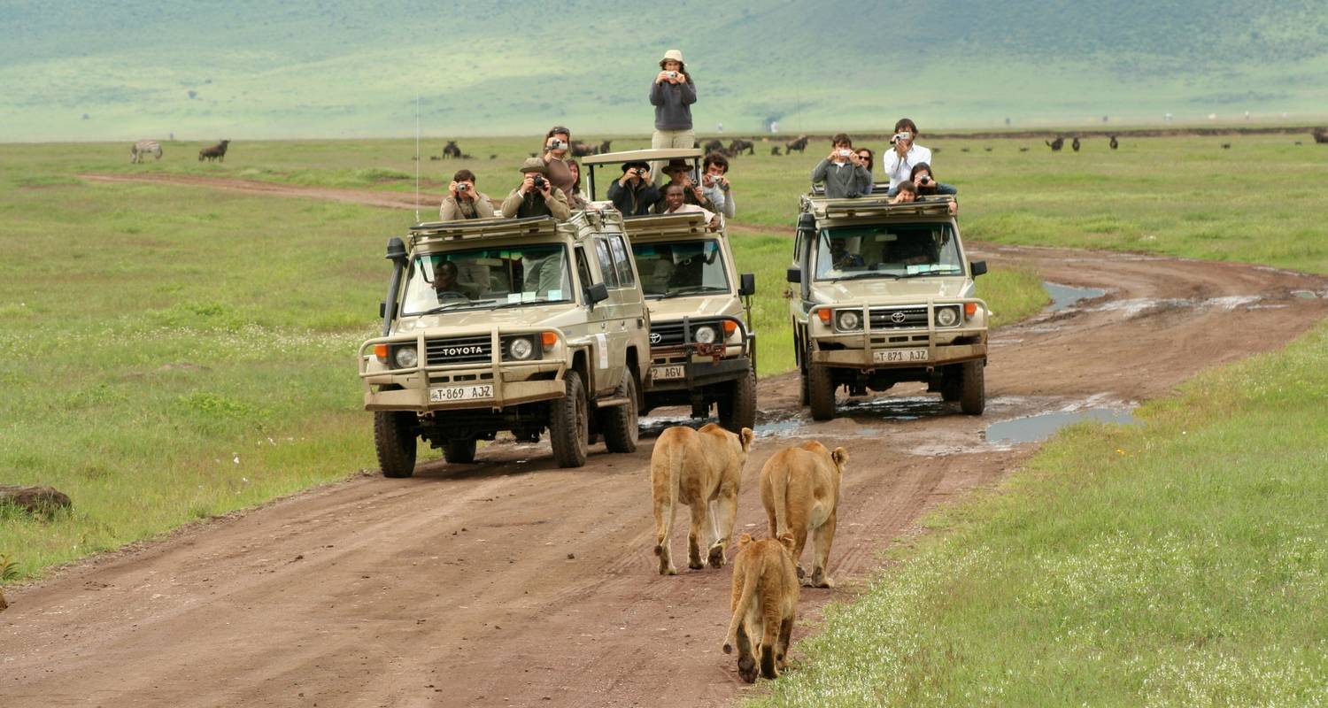 Serengeti y cráter del Ngorongoro - Absolute Africa