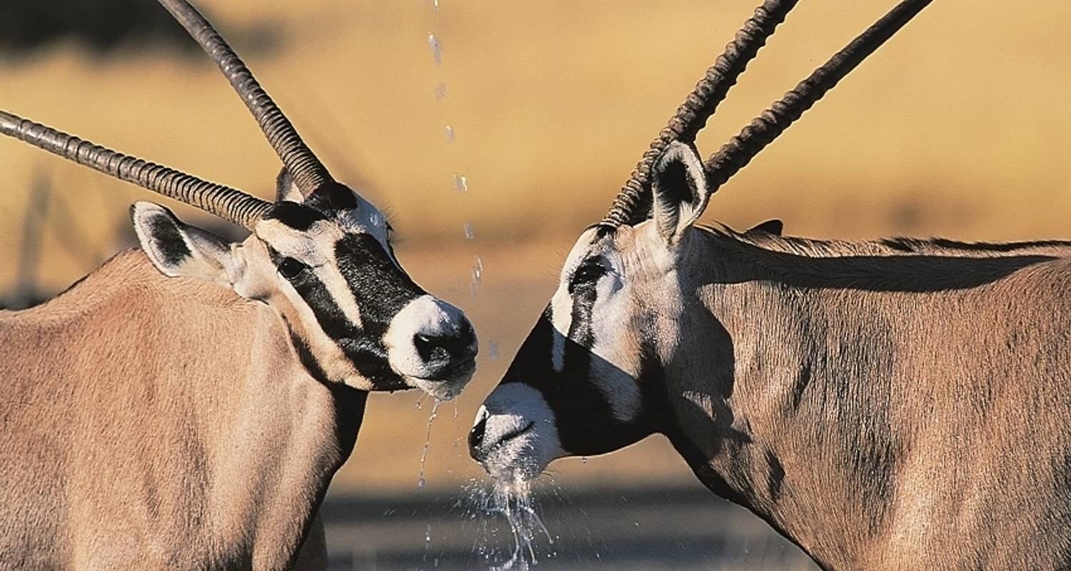 Namibia Überlandreise Rundreisen