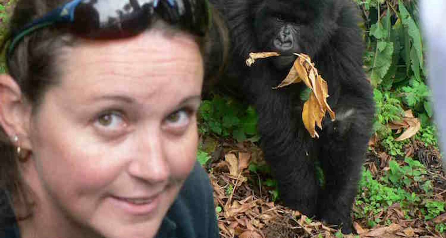 A Week In Gorilla Lands - Absolute Africa