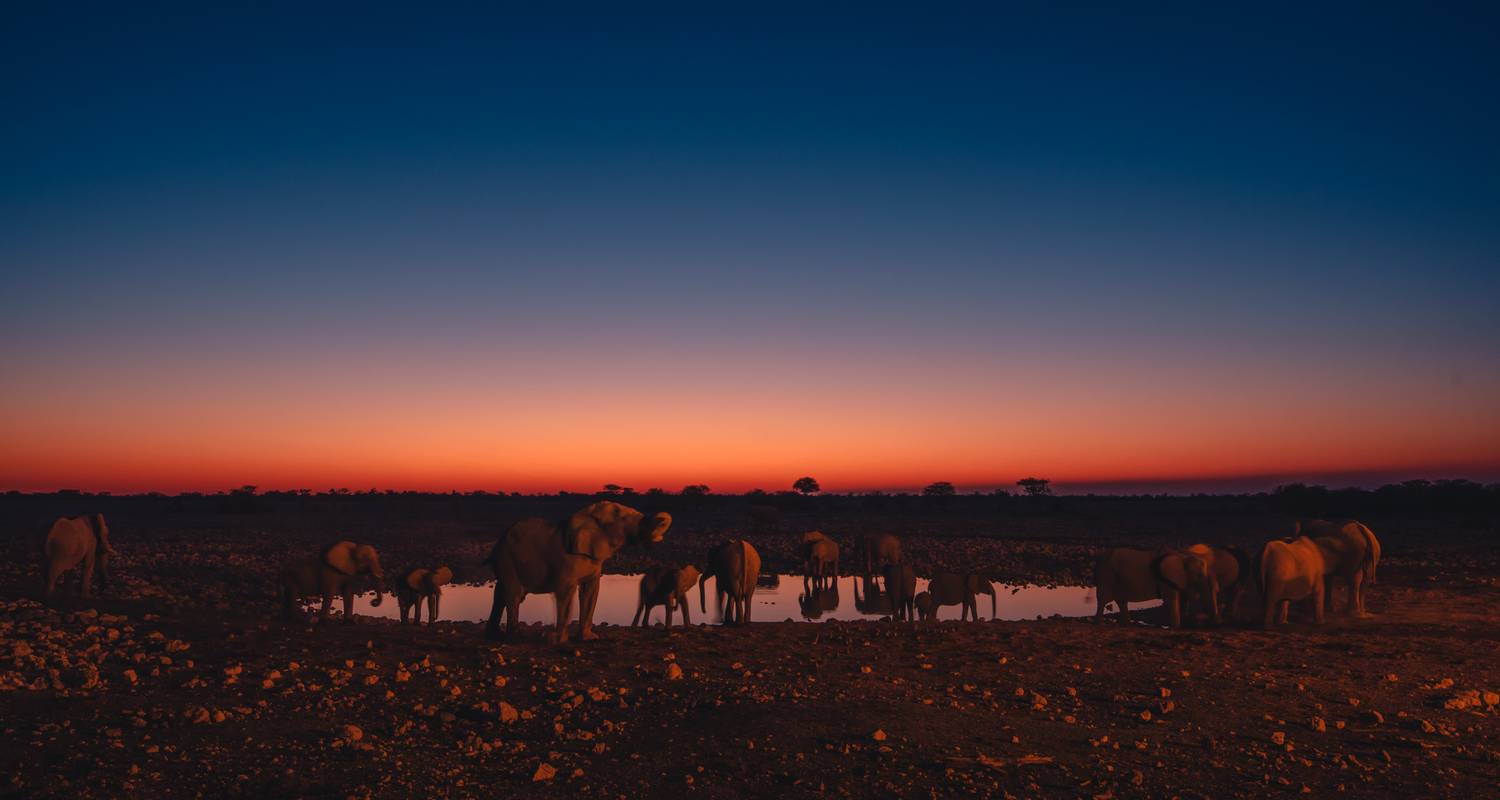 3 Day Etosha Budget Camping Safari