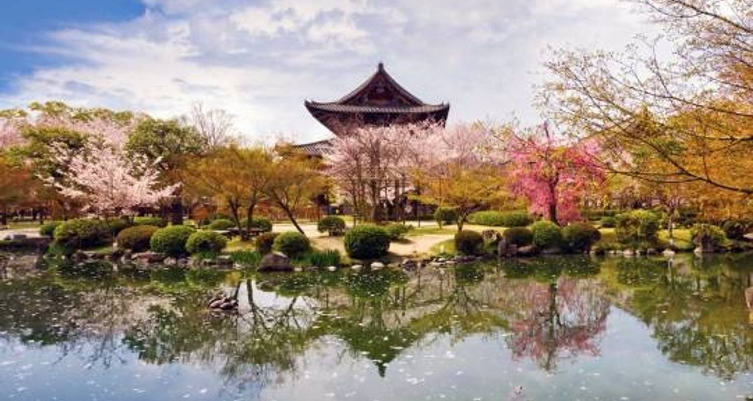 Cherry Blossom Festival 13 days by On The Go Tours with 3 Tour