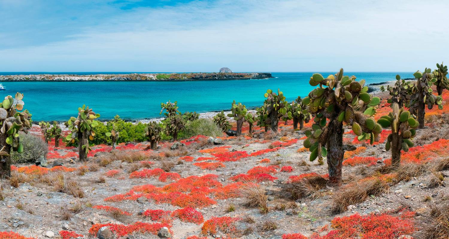 Coup d'œil sur les Galápagos : Îles du Sud - Grand Daphné - Intrepid Travel