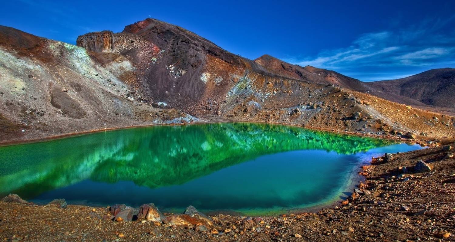 Northern Light from Auckland - Top rated by National Geographic