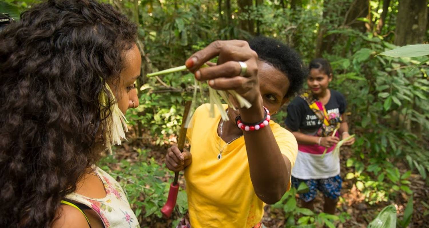 Merapoh Rainforest Station biodiversity research Malaysia - Fuze Ecoteer
