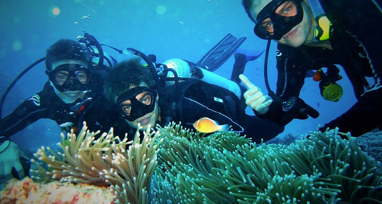 Eye On The Reef - Marine Conservation Program on the Great Barrier Reef - No Limit Adventures