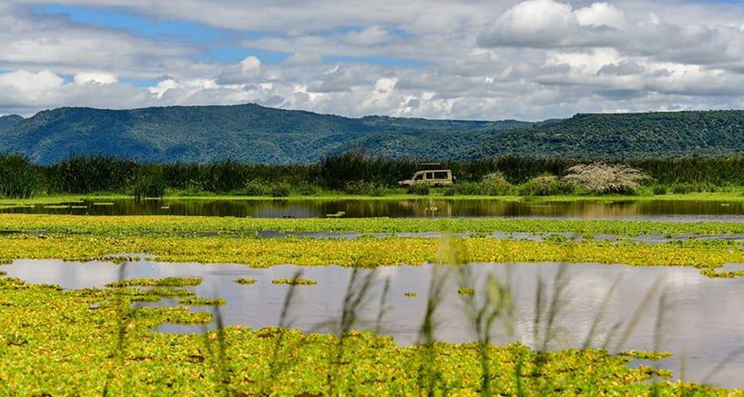 Hoogtepunten van Tanzania Safari 5D/4N (Tarangire, Serengeti & Ngorongoro) - Bamba Travel