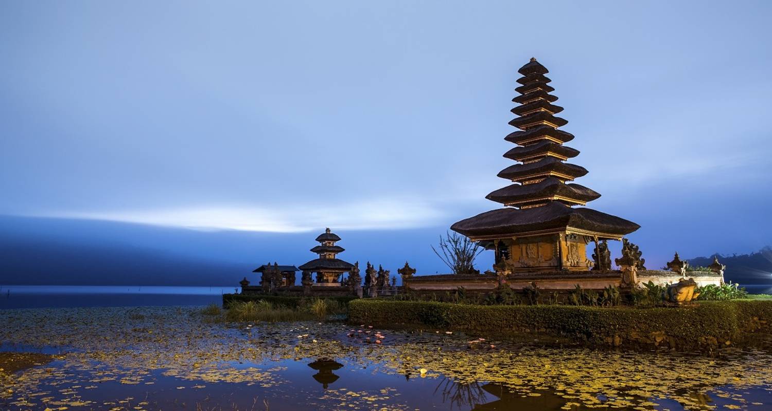 Wake Up in Bali - Wingbuddy