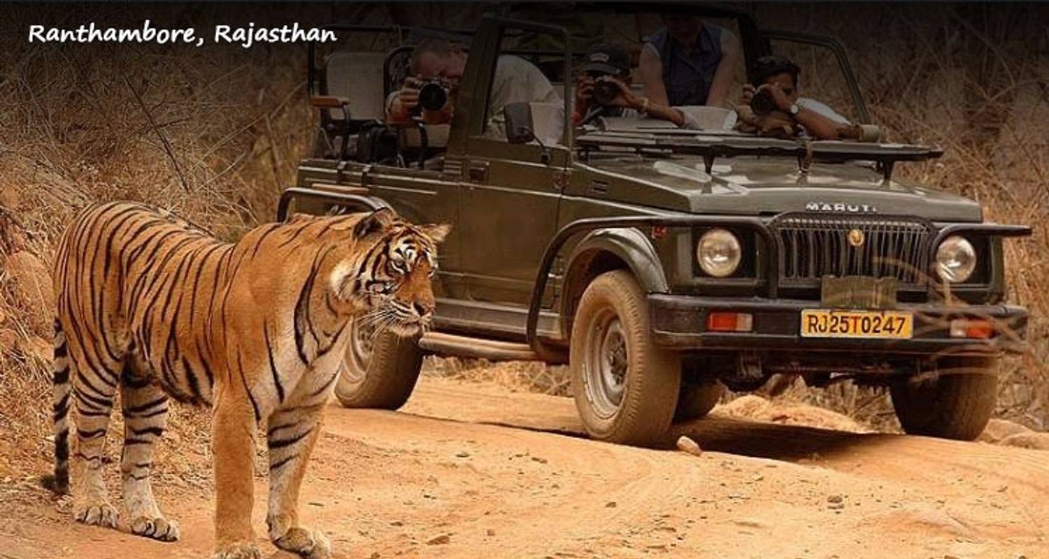 Circuit de luxe du Triangle d'Or avec Ranthambore - GeTS Holidays