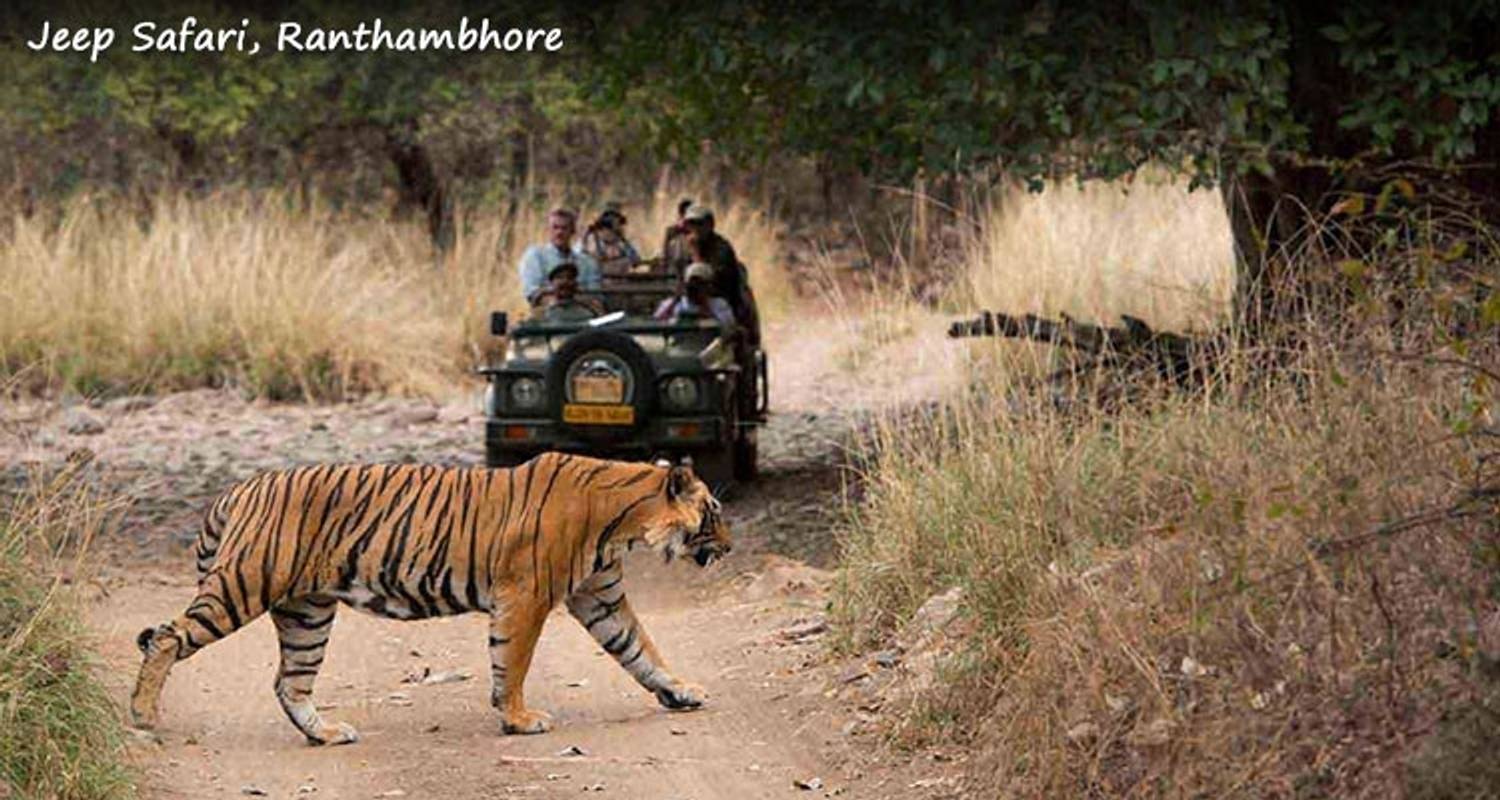 Viaje súper ahorro al triángulo de oro con Ranthambore - GeTS Holidays