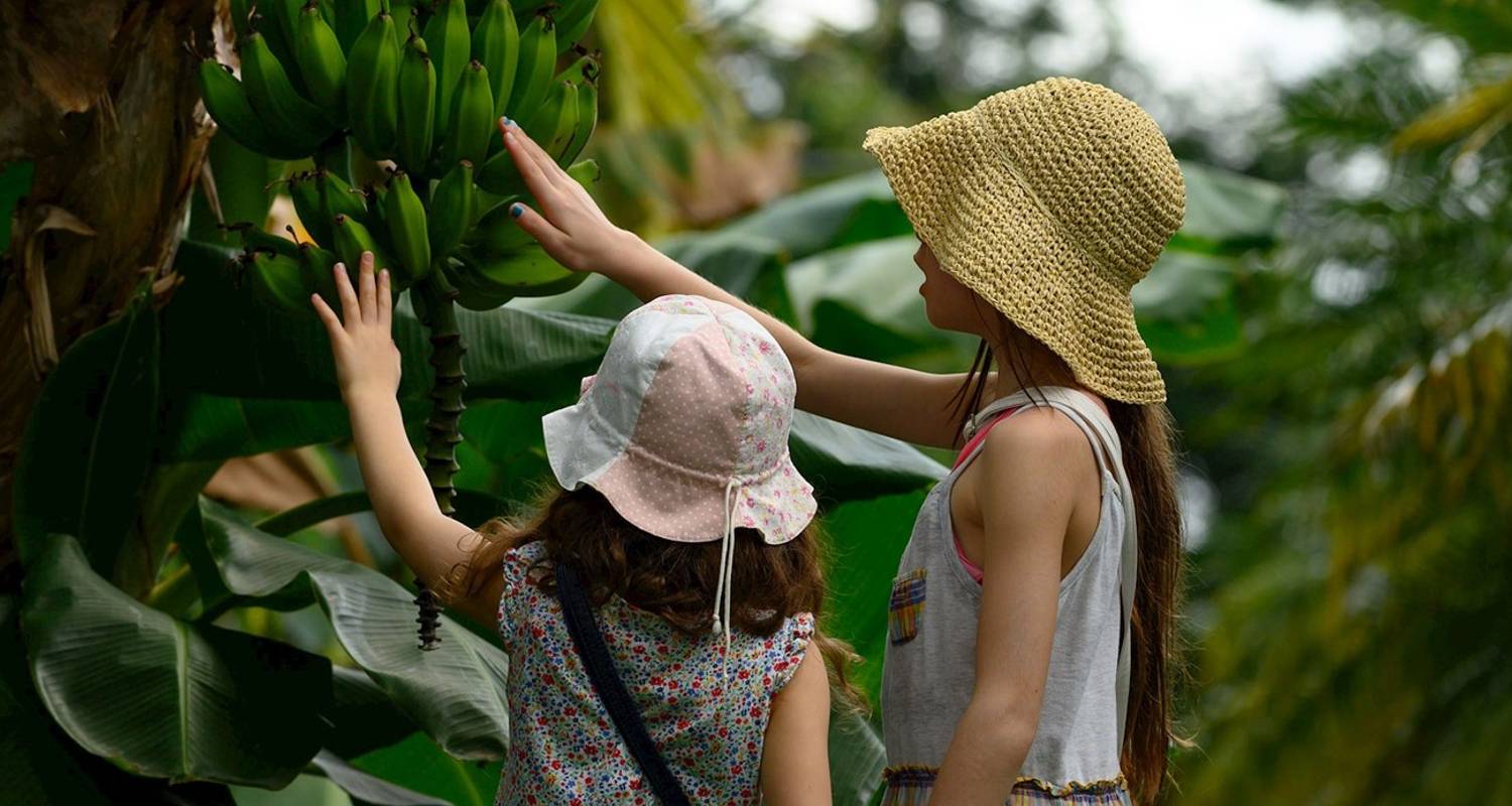 Monkeys, Jungles and Volcanoes - Trafalgar