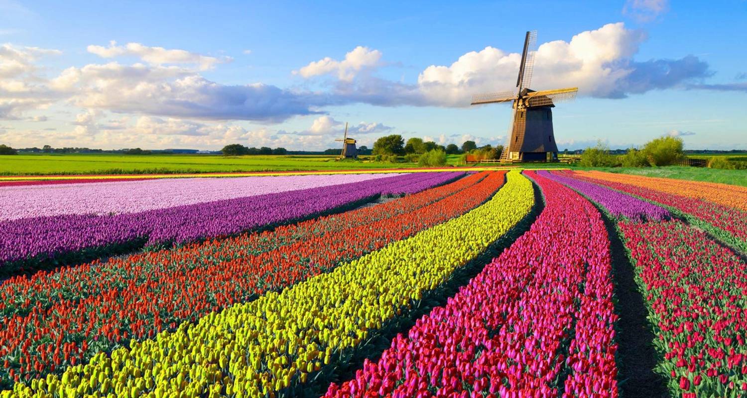 Best of Holland