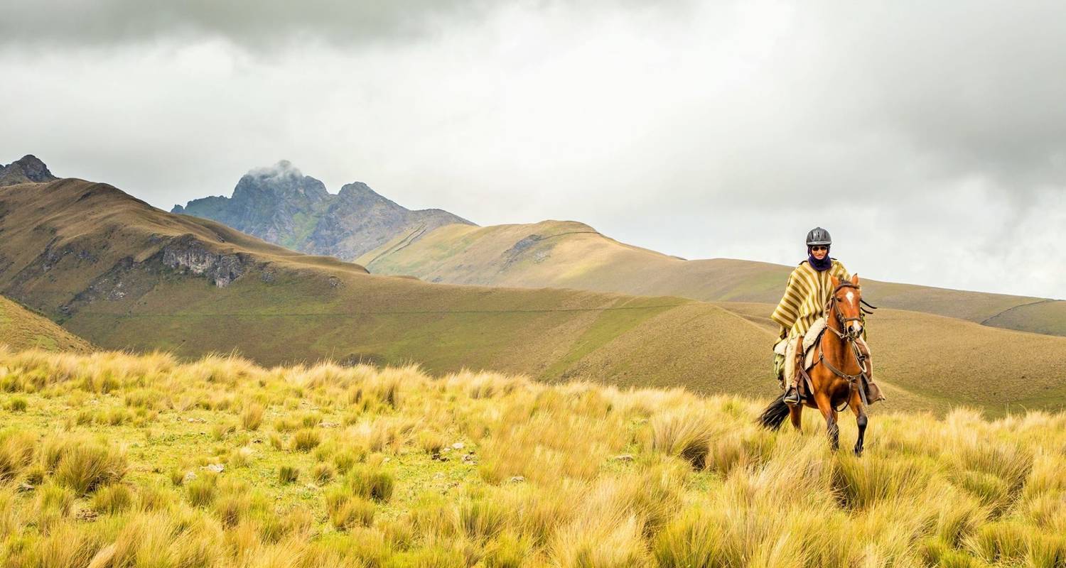 Excursion d'une journée à cheval - Tierra del Volcan