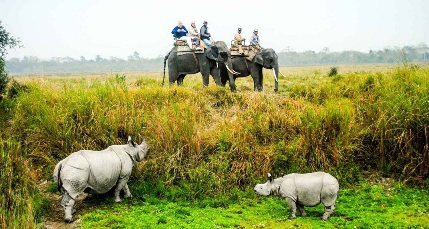 Maravillas del noreste con vida salvaje en Kaziranga - GeTS Holidays