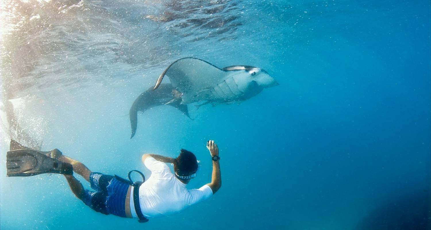 Feejee Five - 11 days/10 nights