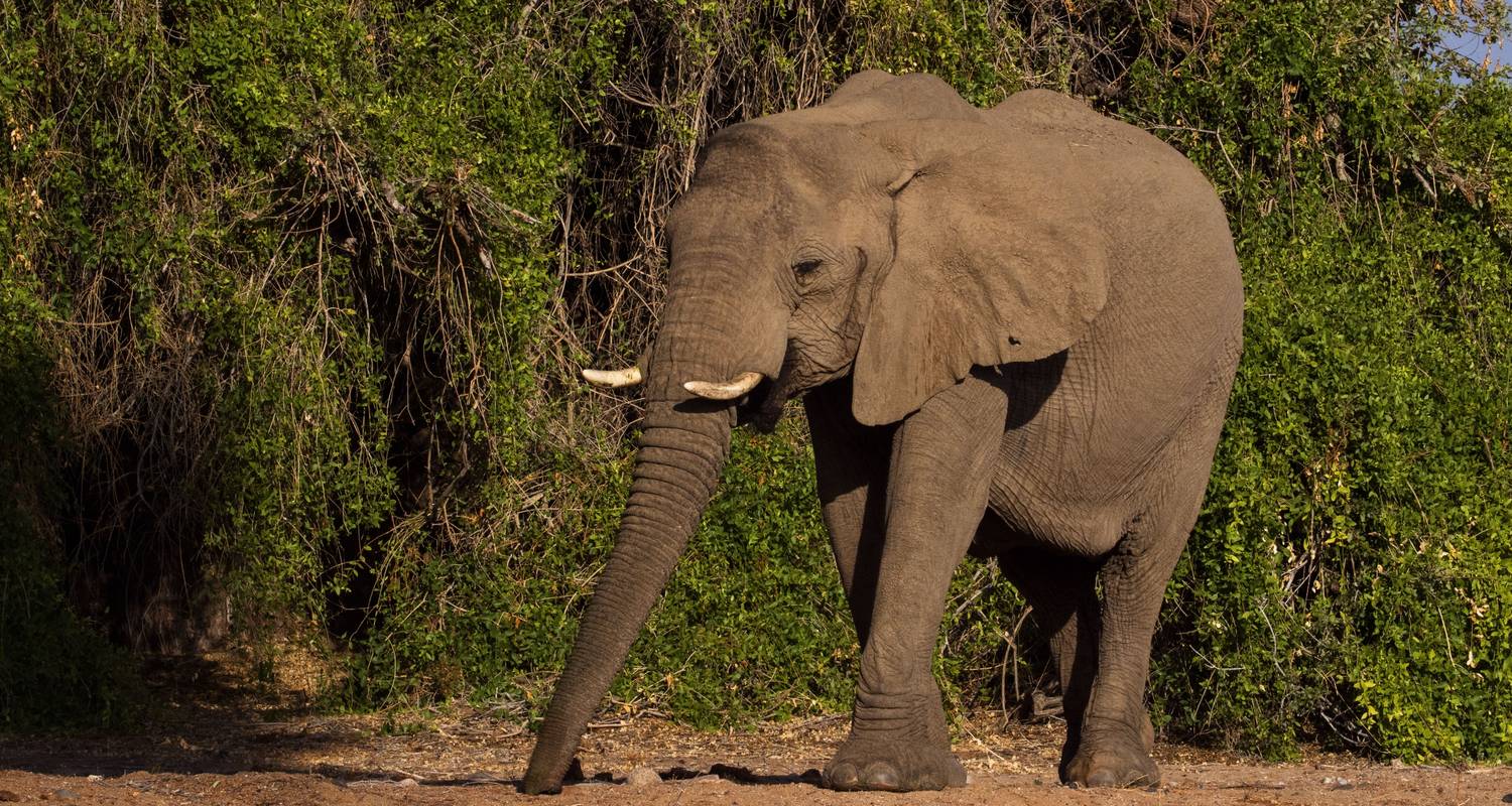 Inklusive Badeaufenthalt von Kapstadt nach Nairobi