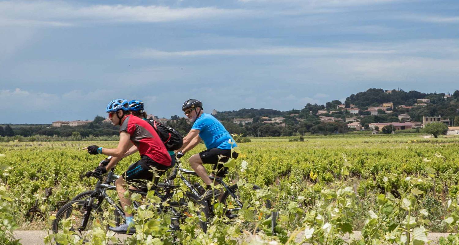 Cycle Provence - Intrepid Travel