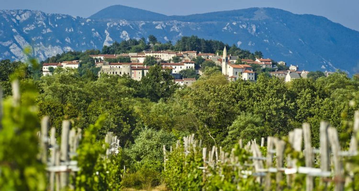 Food & Wine Tasting Holiday in Slovenia - Nature Trips