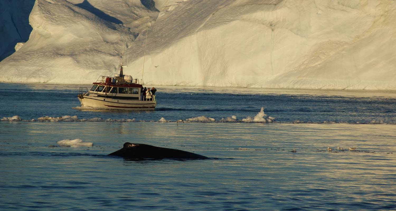 Höhepunkte von Island & Grönland (8 Tage) - GJ Travel