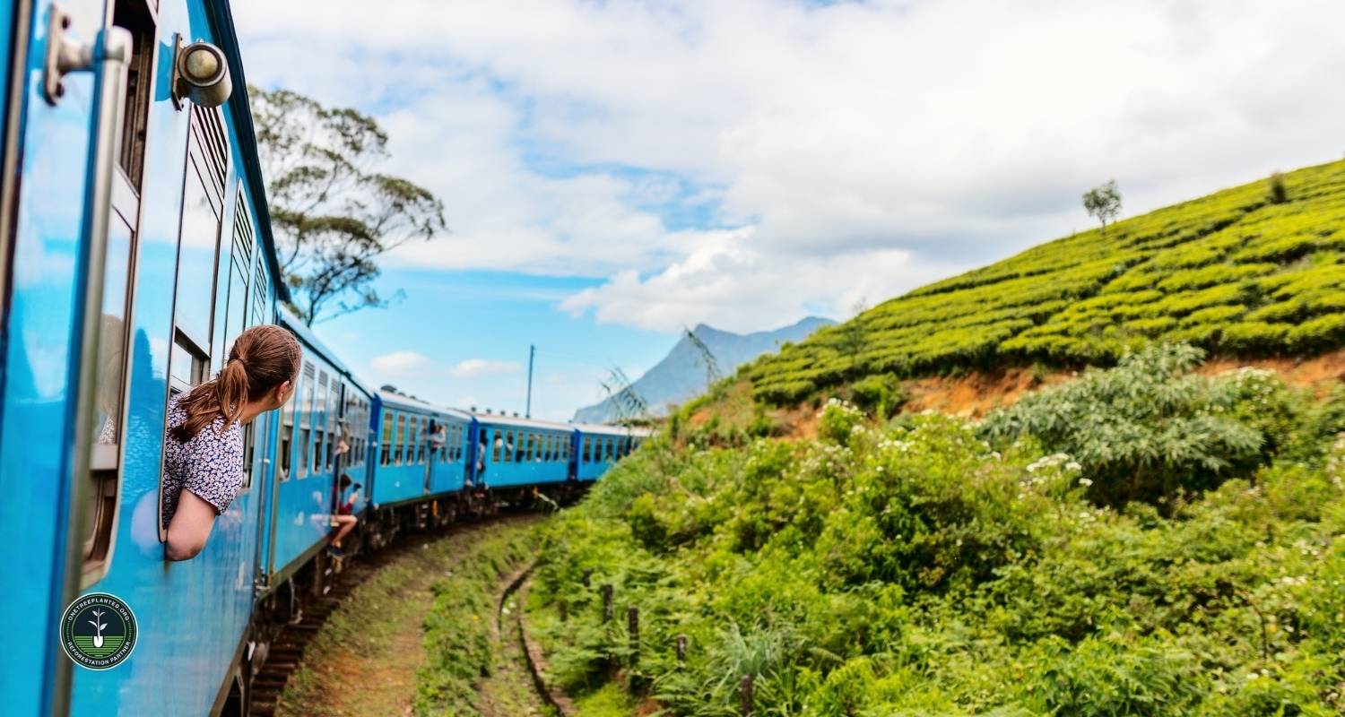 Sri Lanka Classic 12 Day - One Life Adventures