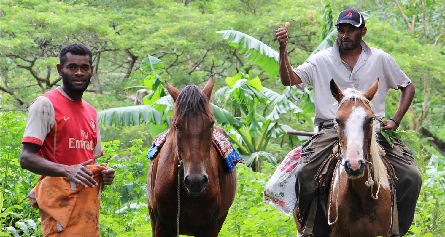 Fidschi Viti Levu Inselerlebnis - 6 Tage - Bamba Travel