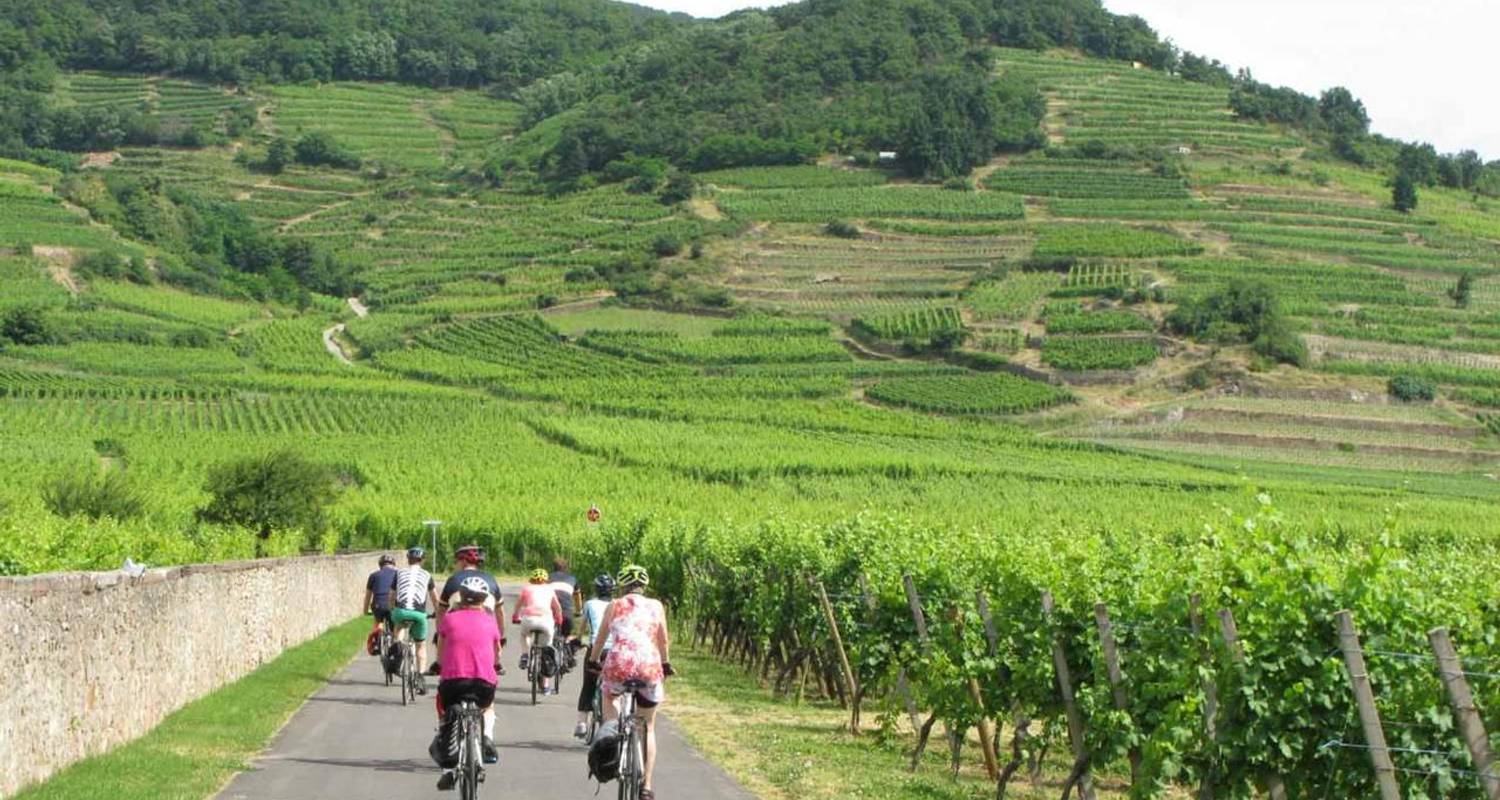 cycling in alsace