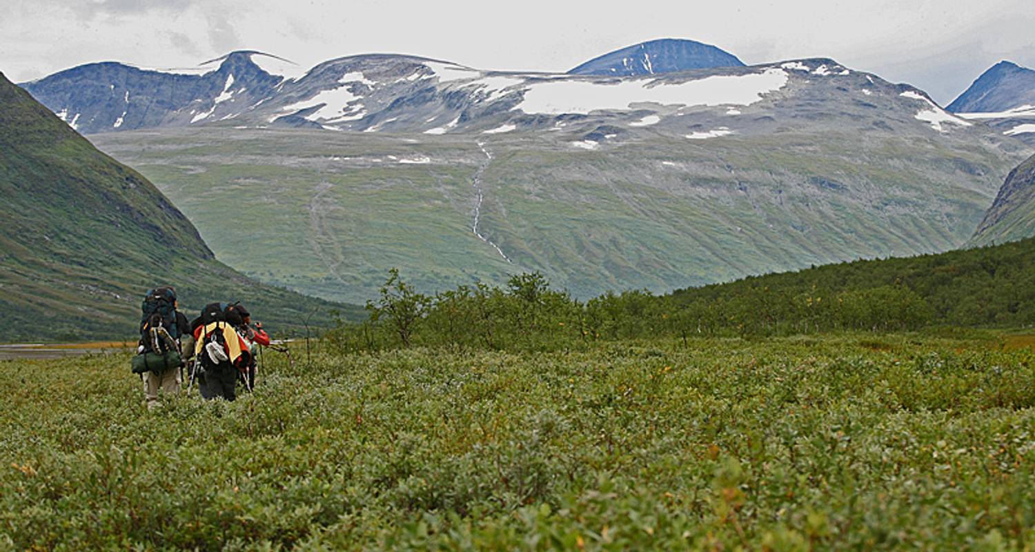 Wildlife Expedition In Sarek National Park Lapland By Wild Sweden Code Pwkarf Tourradar