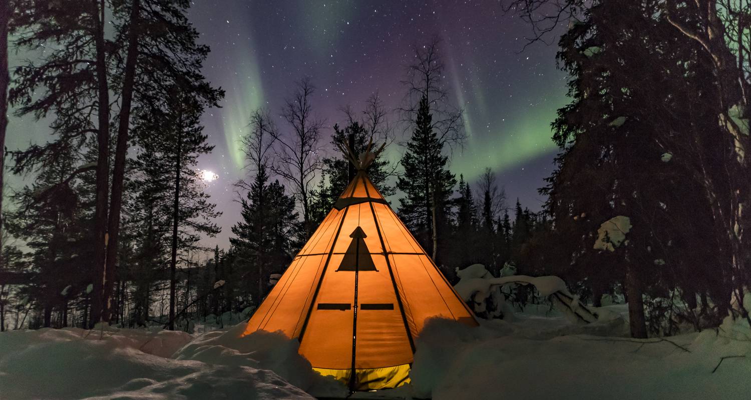 Northern Lights & wildlife in Swedish Lapland, 7 nights - Wild Sweden