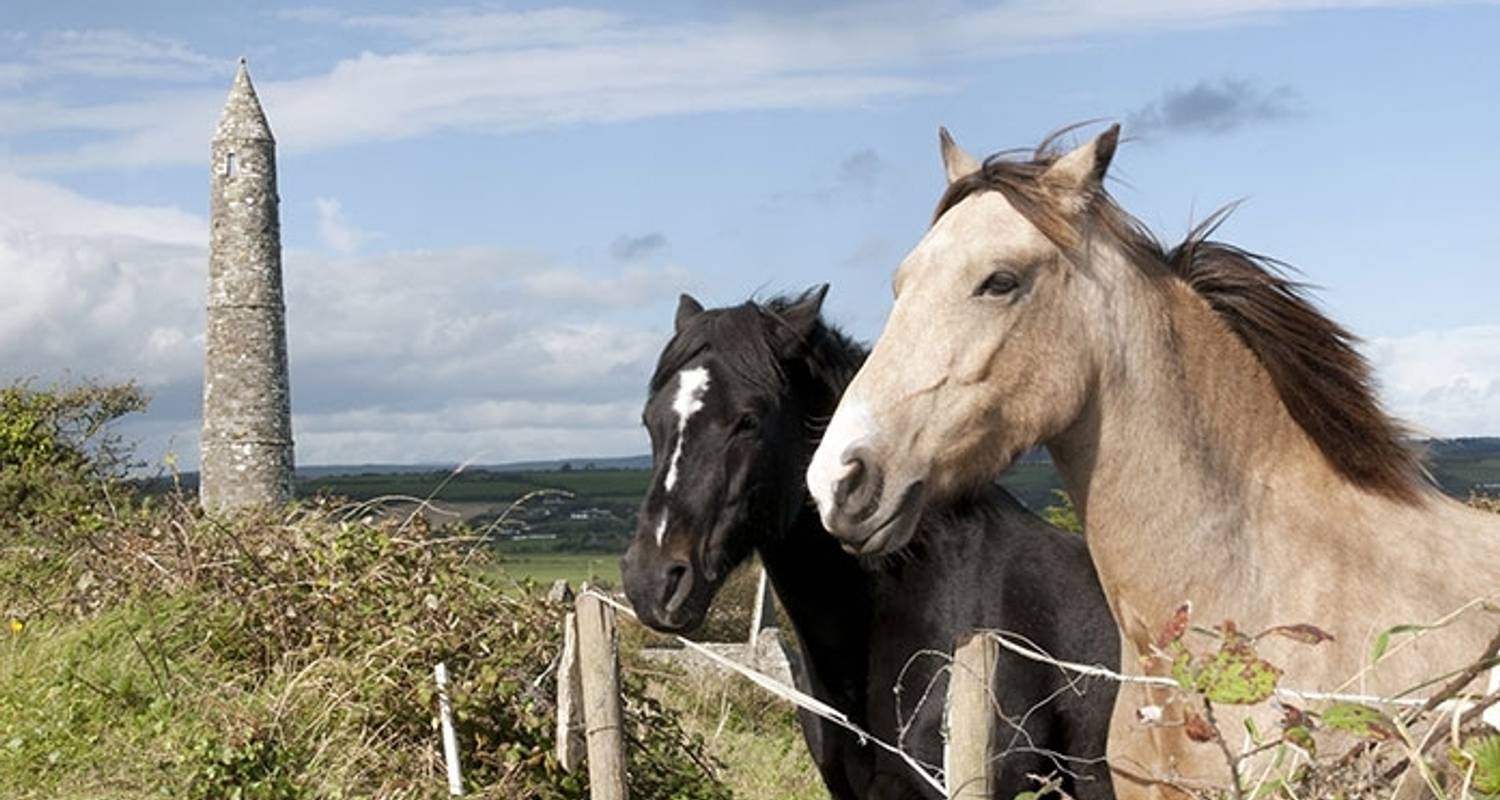 3-Day Blarney Castle, Kilkenny & Irish Whiskey Small-Group Tour from Dublin