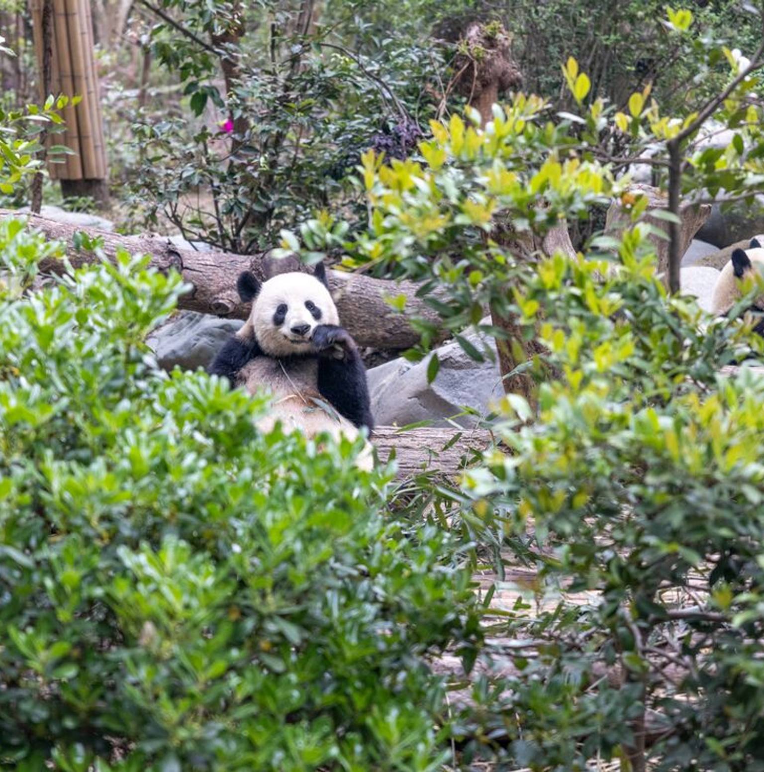 Chengdu — Xi'an