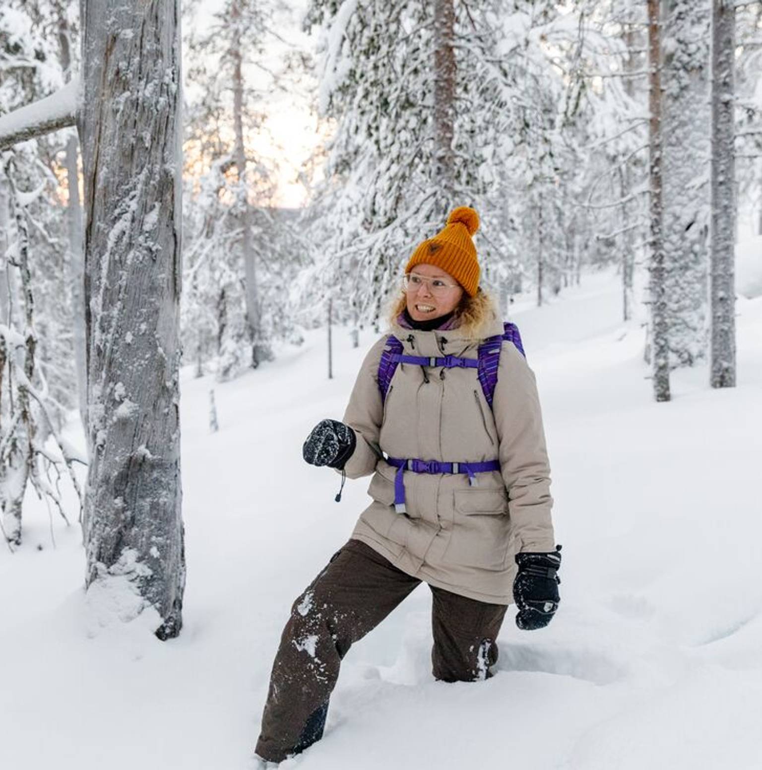 Yllastunturi — Pallas - Yllastunturin kansallispuisto