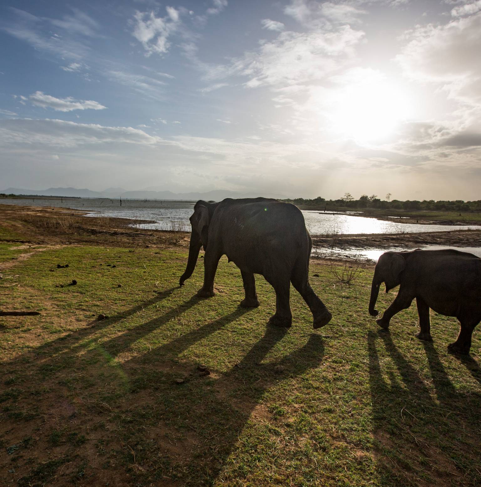 Ella/Udawalawe National Park (1B, 1D) — Ella