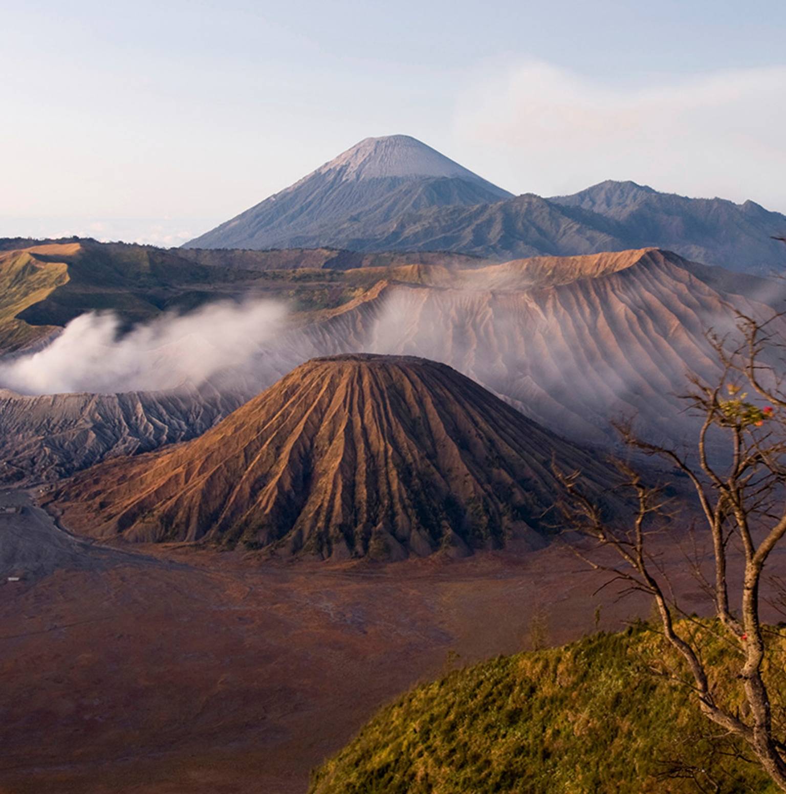 Desa Ngadas/Bromo (1B, 1L) — Mount Bromo
