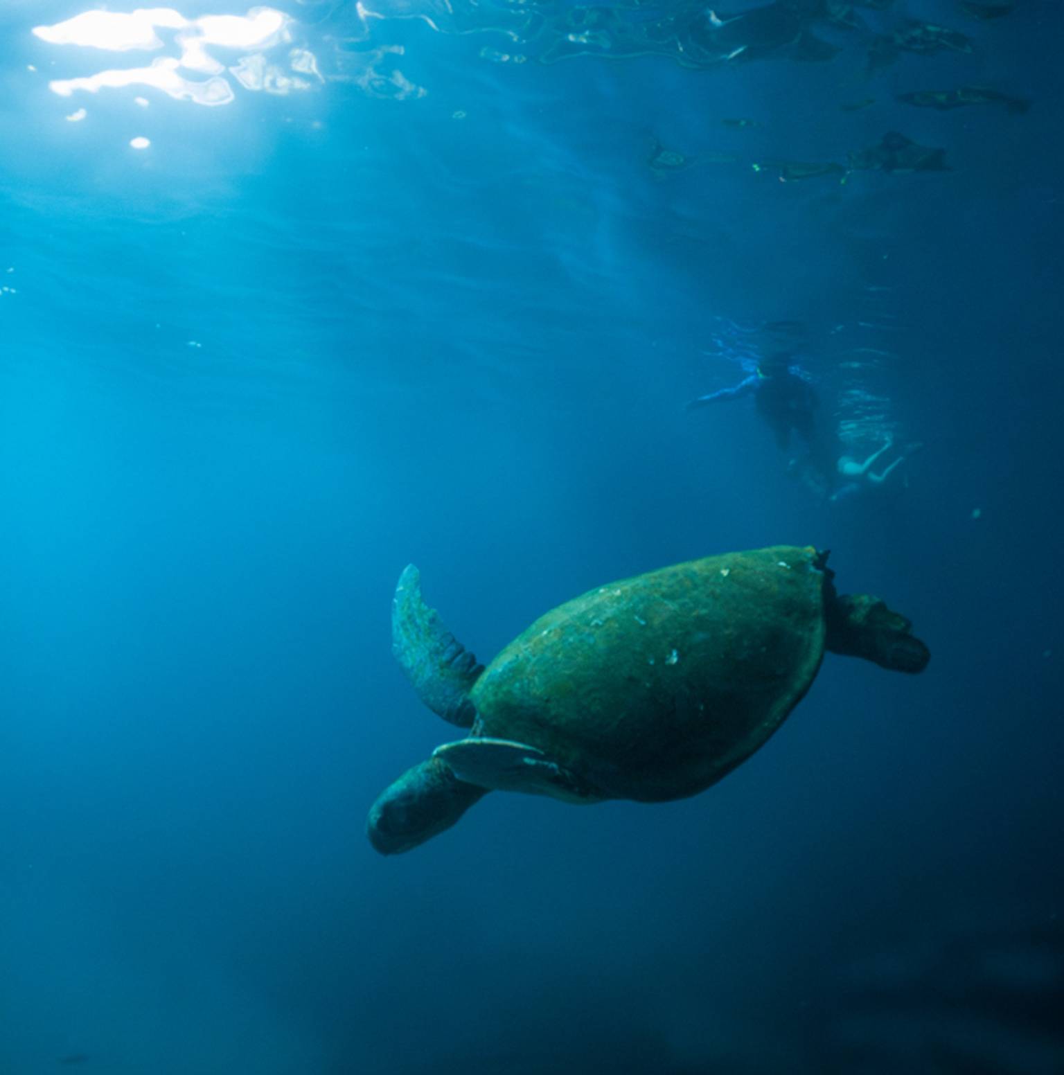 Isla Santa Cruz — Santa Cruz Island