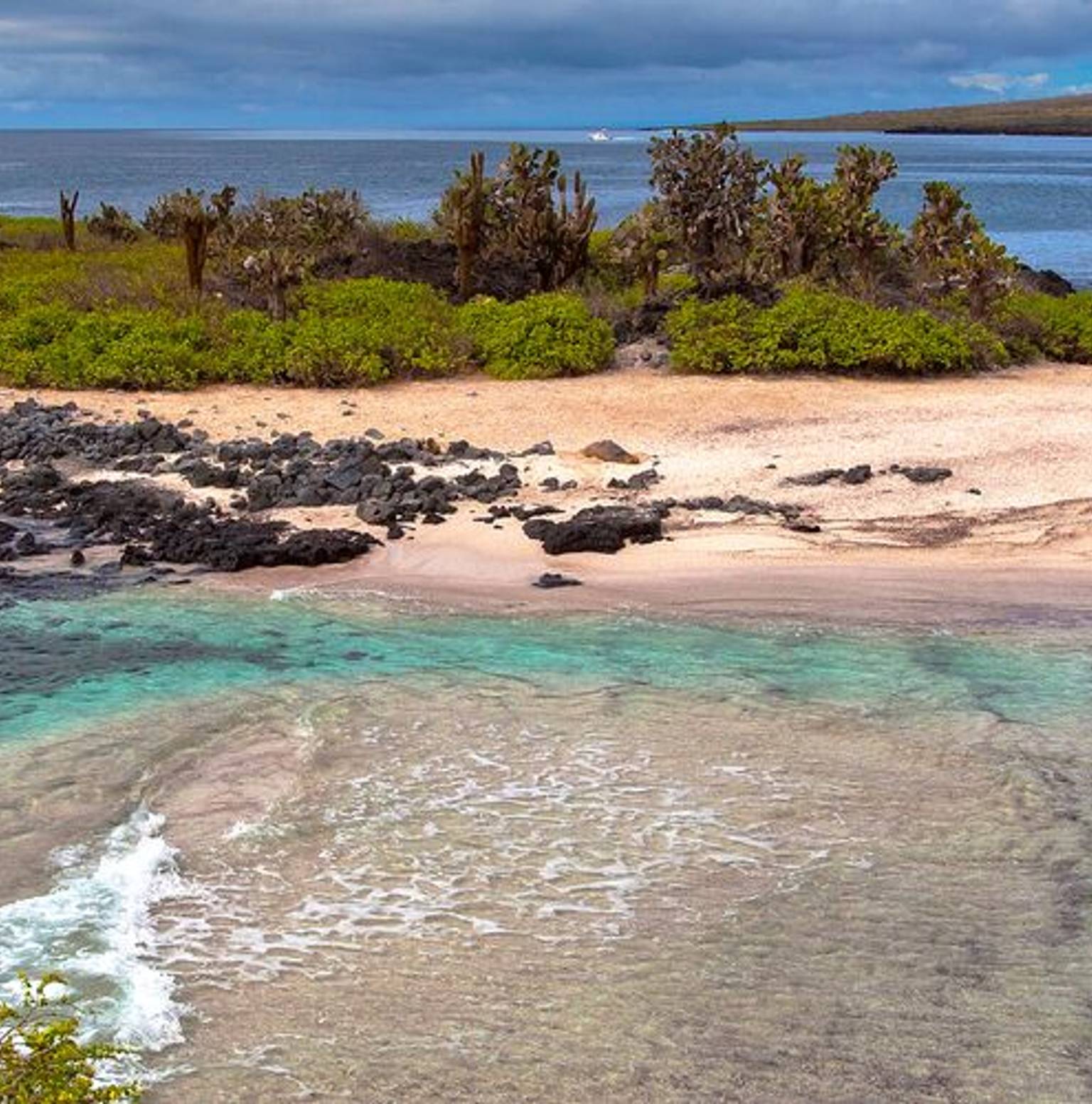 Isla Isabela - Las Tintoreras - Giant Tortoise Breeding Centre — Isabela Island