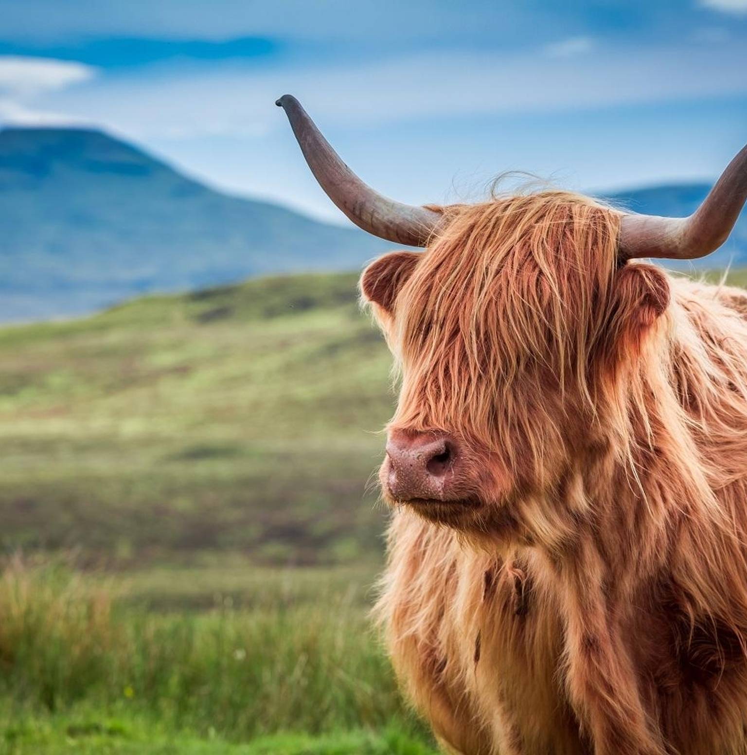 Glasgow - Skye - Isle of Lewis (B/-/-) — Glasgow
