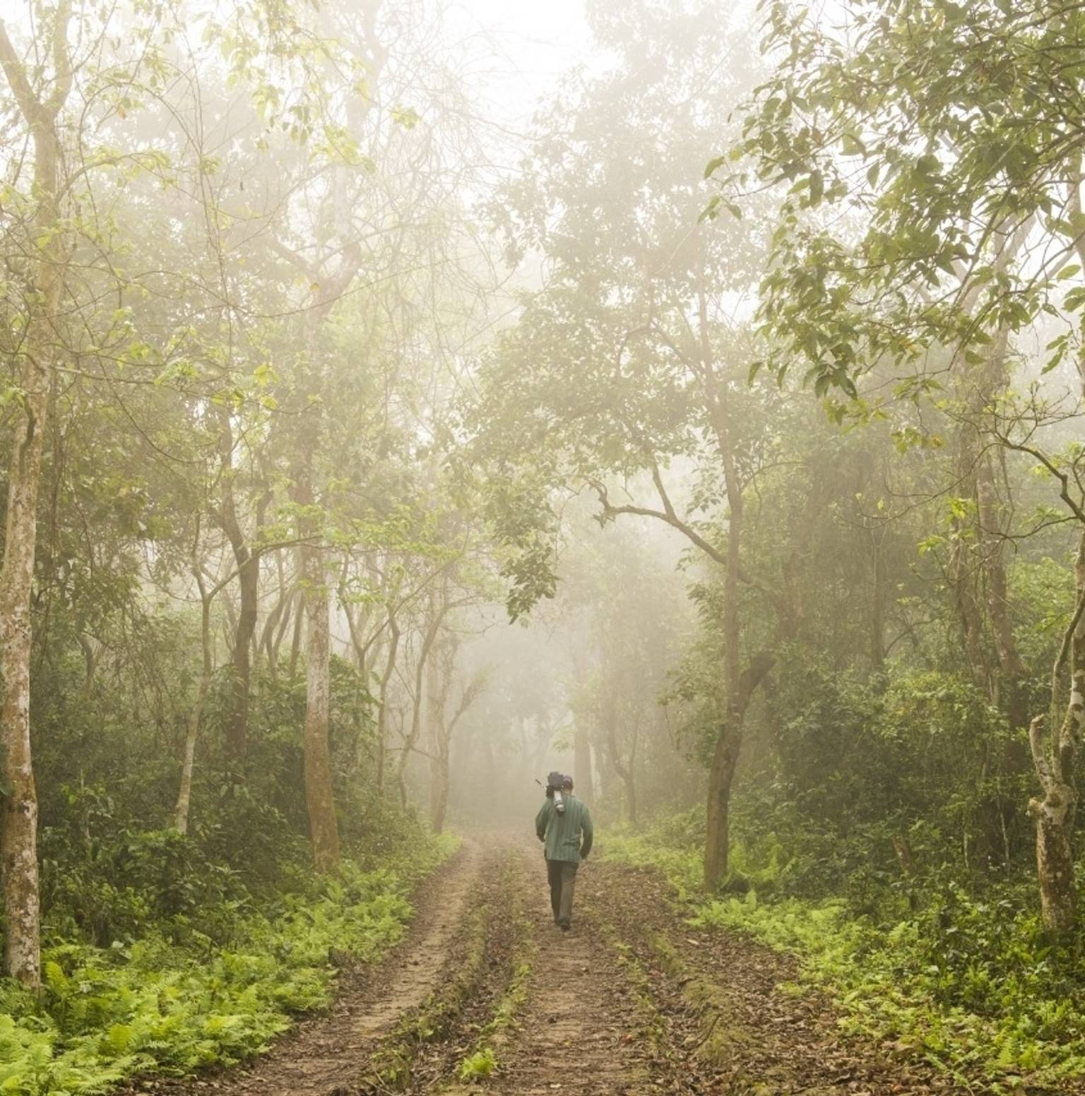 Adventure Begins in Chitwan (150 M / 492 FT) — Chitwan National Park