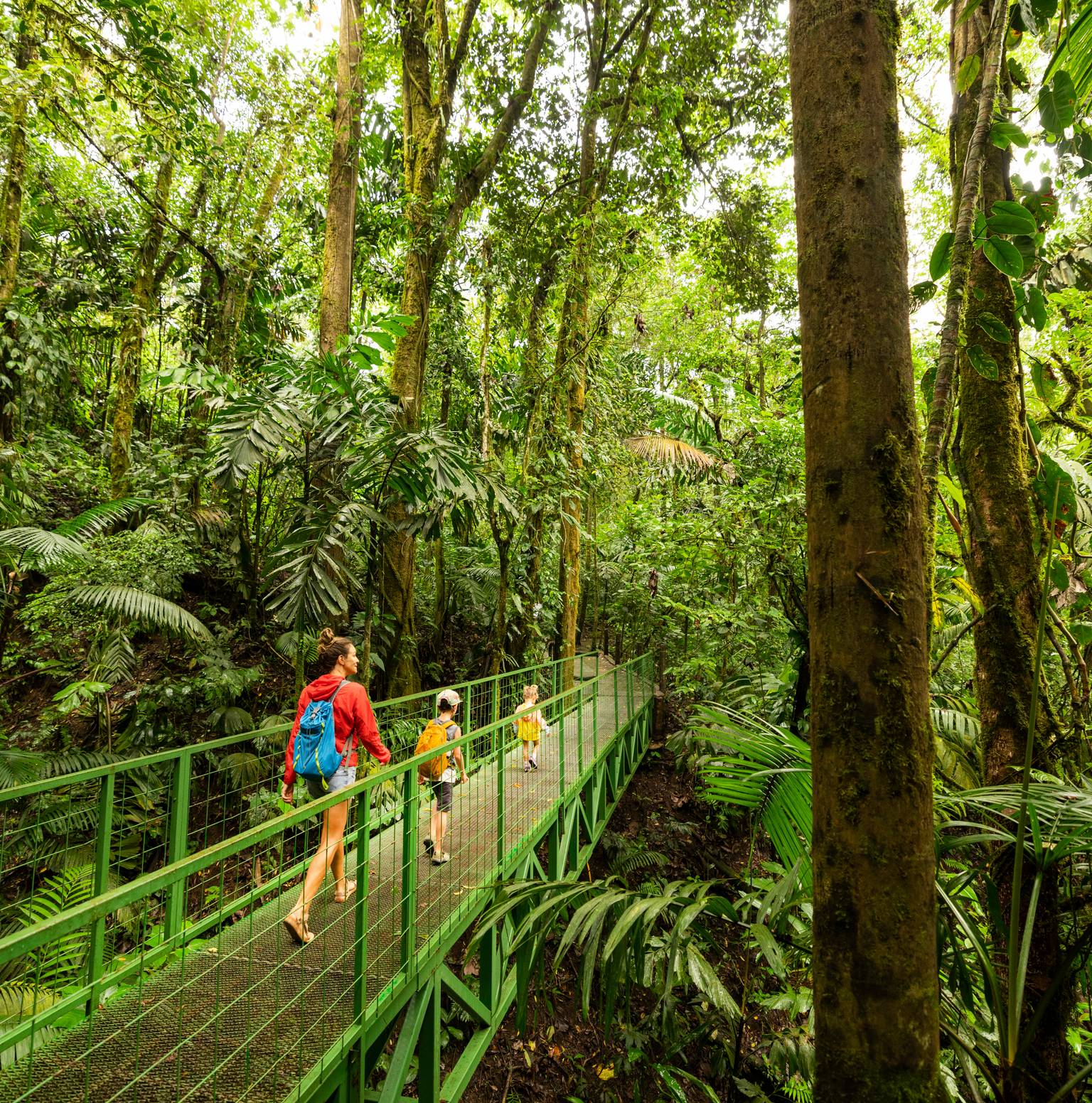 Sarapiqui — Sarapiquí