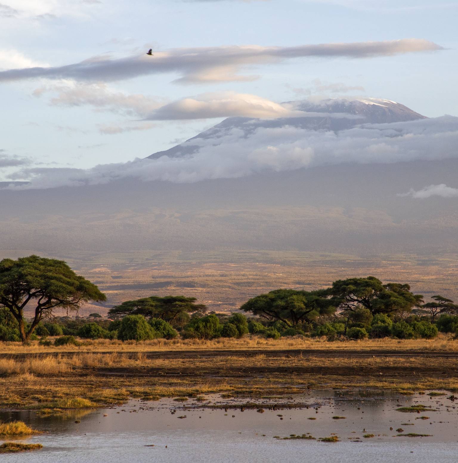 Serengeti National Park (Ngorongoro Crater) — Ngorongoro Conservation Area