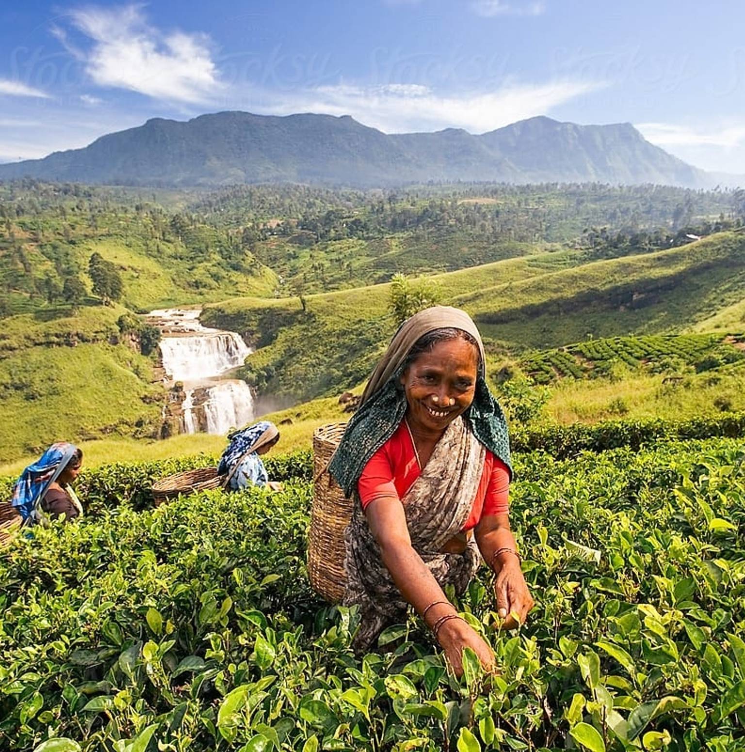 AMAZING NIGHT TIME HIKING TO ADAM'S PEAK / HILL COUNTRY TEA PLANTATIONS AND WATERFALLS — Nuwara Eliya
